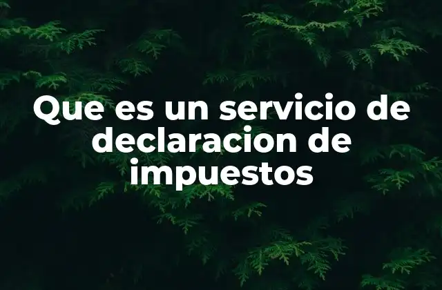 Que es un Servicio de Declaracion de Impuestos