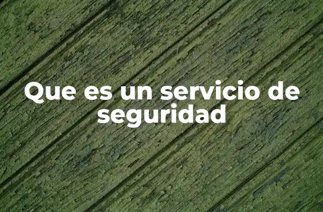 Que es un Servicio de Seguridad