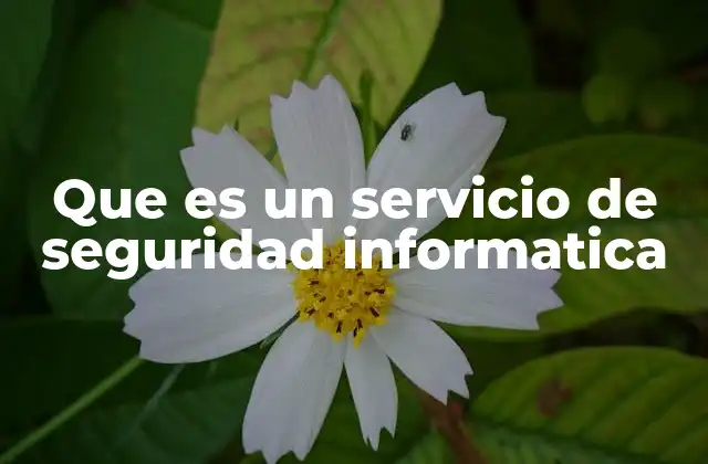 Que es un Servicio de Seguridad Informatica