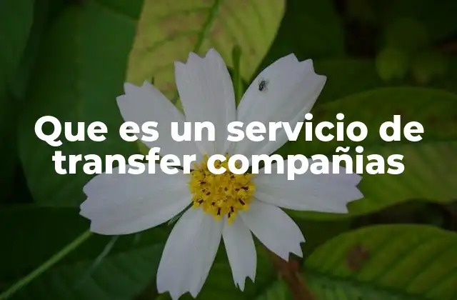 Que es un Servicio de Transfer Compañias