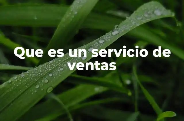 Que es un Servicio de Ventas
