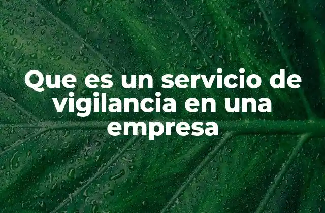 Que es un Servicio de Vigilancia en una Empresa