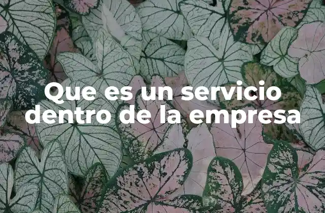 Que es un Servicio Dentro de la Empresa