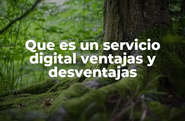 Que es un Servicio Digital Ventajas y Desventajas