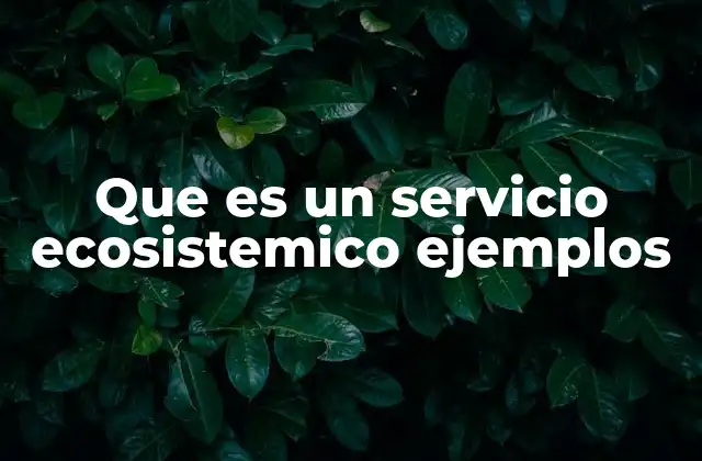 Que es un Servicio Ecosistemico Ejemplos