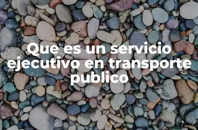 Que es un Servicio Ejecutivo en Transporte Publico
