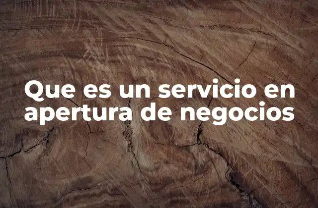 Que es un Servicio en Apertura de Negocios