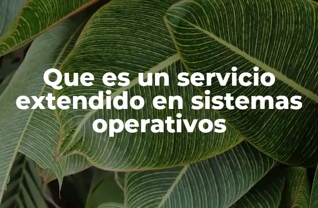 Funcionalidades y características de los servicios extendidos