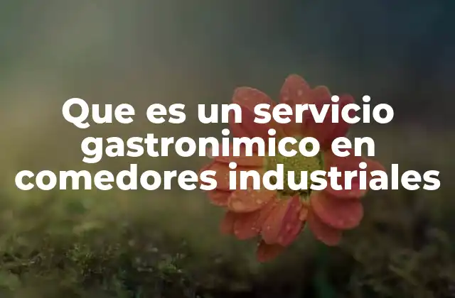 Que es un Servicio Gastronimico en Comedores Industriales