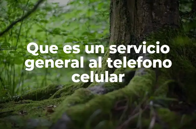 Que es un Servicio General Al Telefono Celular