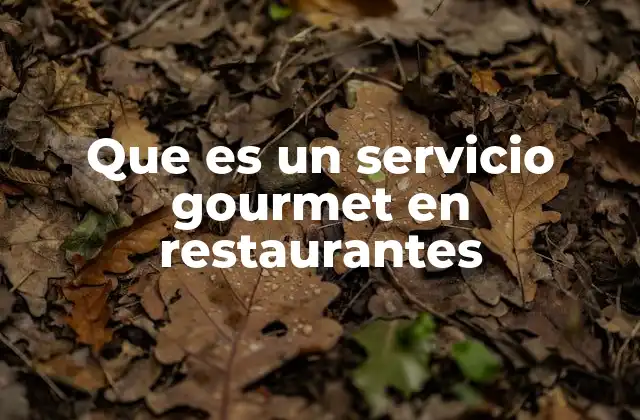 Que es un Servicio Gourmet en Restaurantes 2 La experiencia gourmet más allá de la comida