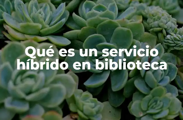 La evolución de los servicios bibliotecarios en el siglo XXI