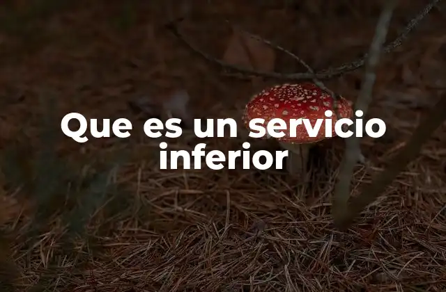 Que es un Servicio Inferior