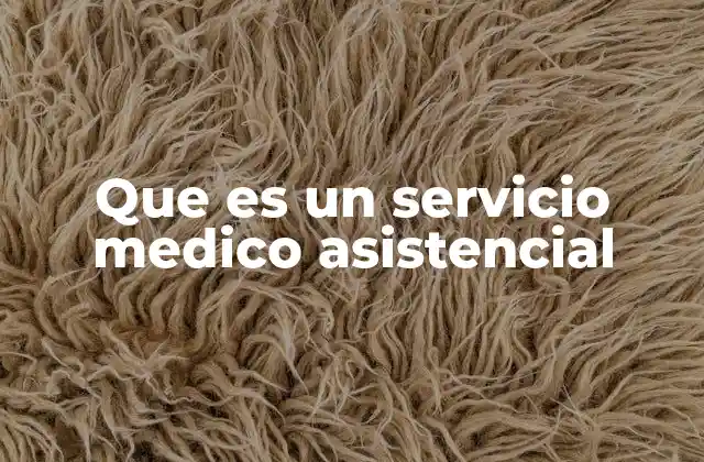 Que es un Servicio Medico Asistencial