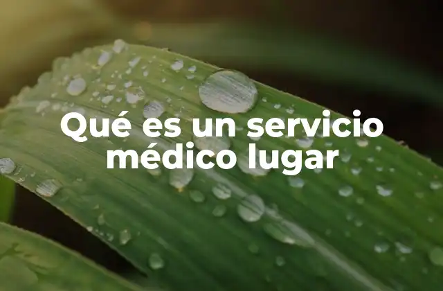 Qué es un Servicio Médico Lugar