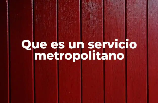 Que es un Servicio Metropolitano