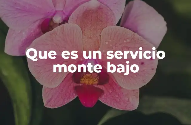 Que es un Servicio Monte bajo