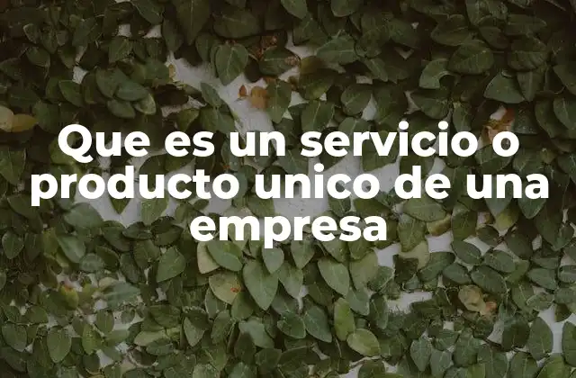 Que es un Servicio o Producto Unico de una Empresa