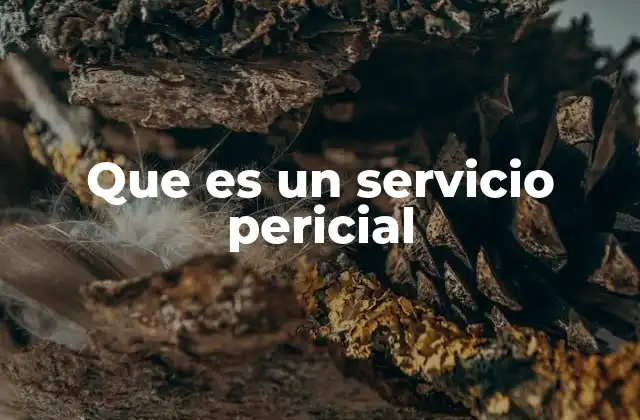 Que es un Servicio Pericial 2 El rol de los servicios periciales en el sistema legal