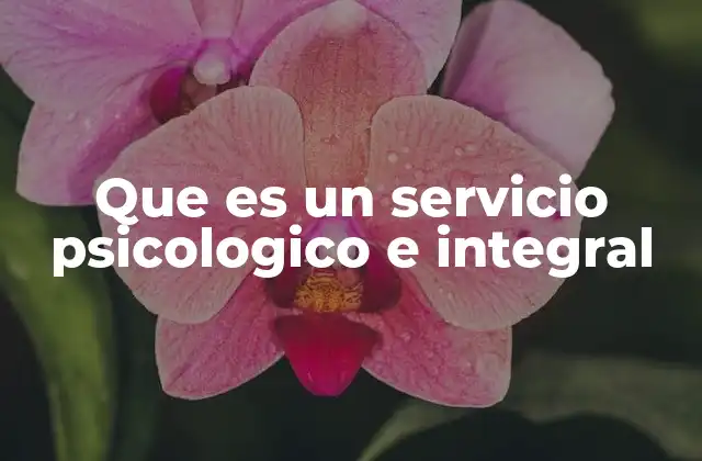 Que es un Servicio Psicologico e Integral