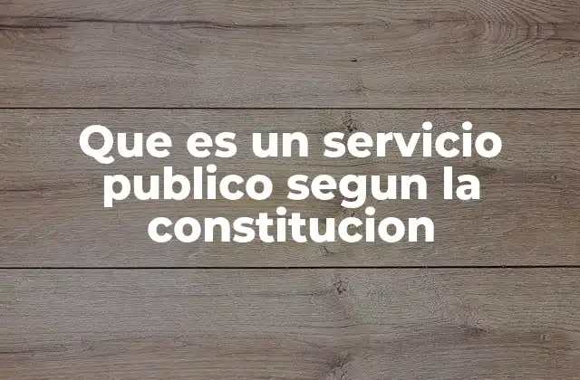 Que es un Servicio Publico Segun la Constitucion