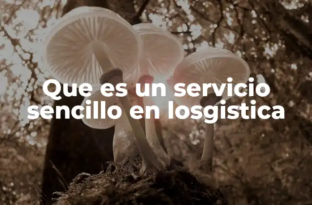 Que es un Servicio Sencillo en Losgistica 2 La importancia de la simplicidad en la gestión logística