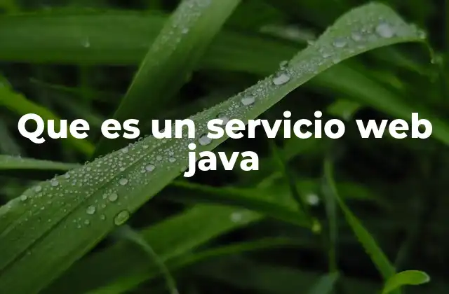 Que es un Servicio Web Java