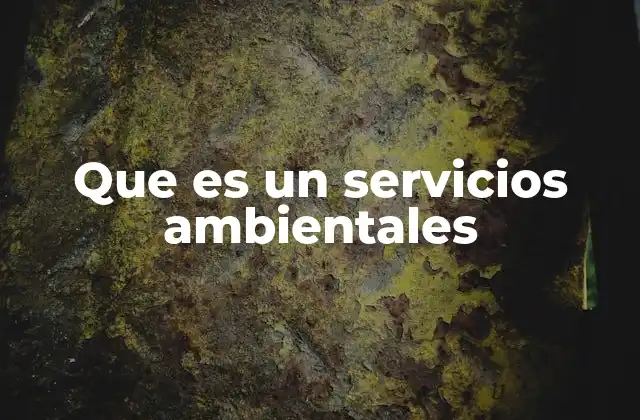 Que es un Servicios Ambientales