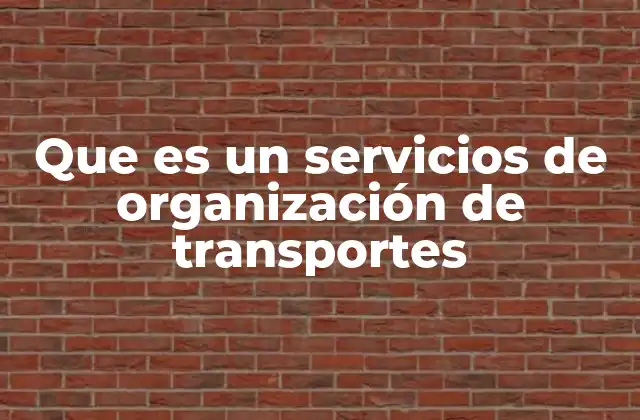 Que es un Servicios de Organización de Transportes