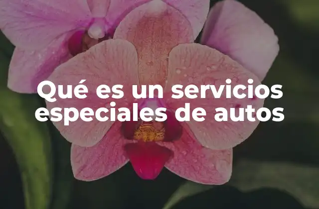 Qué es un Servicios Especiales de Autos