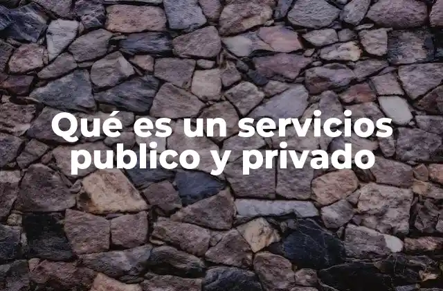 Qué es un Servicios Publico y Privado
