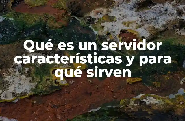 Qué es un Servidor Características y para Qué Sirven