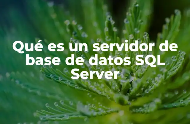 Qué es un Servidor de Base de Datos Sql Server