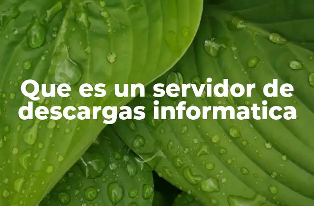 Que es un Servidor de Descargas Informatica