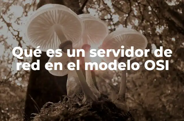 La importancia de los servidores en la arquitectura de redes