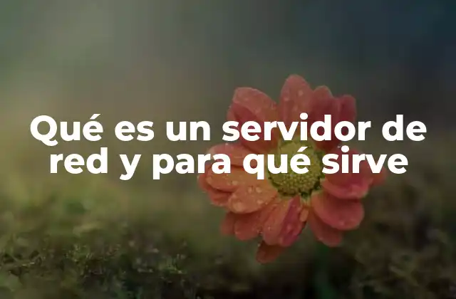 Qué es un Servidor de Red y para Qué Sirve