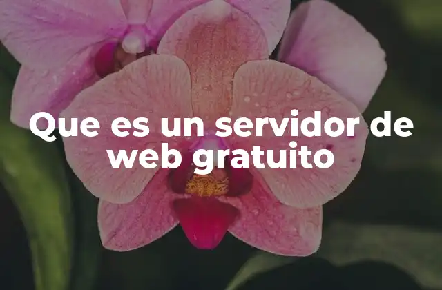 Que es un Servidor de Web Gratuito