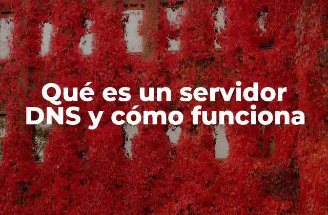 Qué es un Servidor Dns y Cómo Funciona 2 Cómo internet traduce direcciones sin que tú lo notes