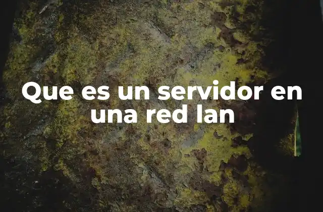 Que es un Servidor en una Red Lan
