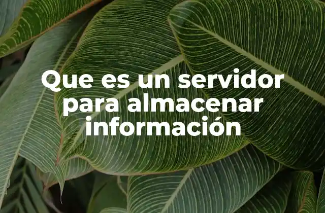 Que es un Servidor para Almacenar Información