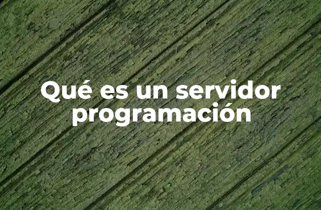 Qué es un Servidor Programación