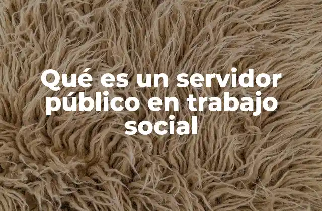 Qué es un Servidor Público en Trabajo Social