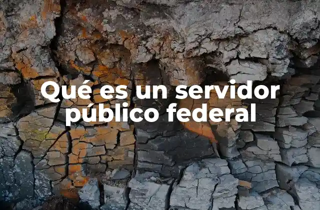 Qué es un Servidor Público Federal