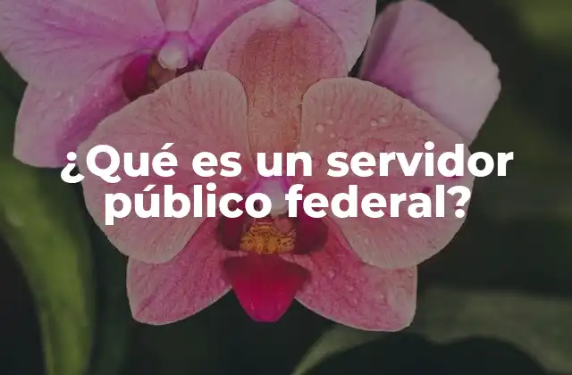 ¿qué es un Servidor Público Federal?