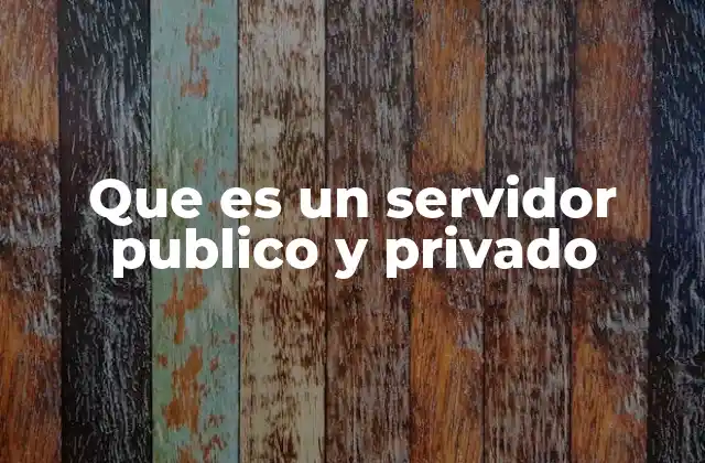 Que es un Servidor Publico y Privado