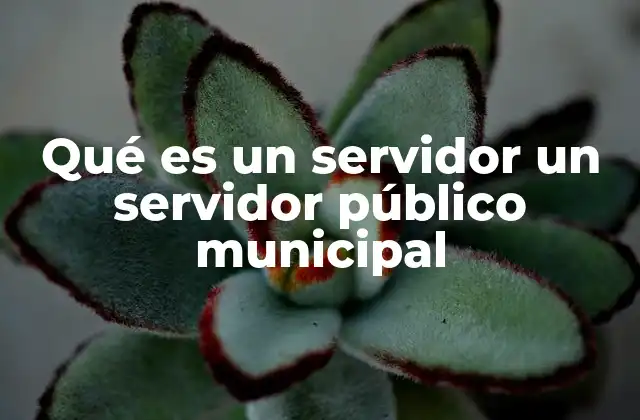 Qué es un Servidor un Servidor Público Municipal