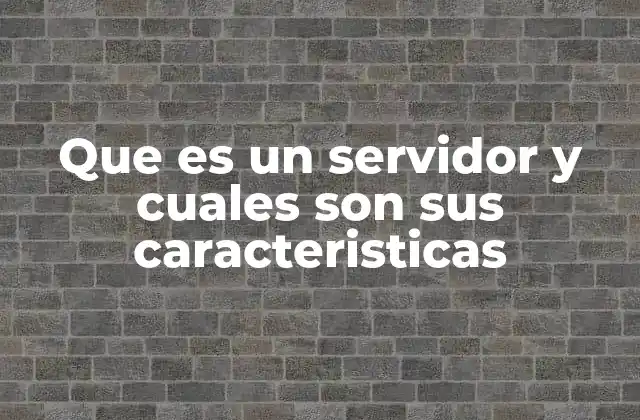 Que es un Servidor y Cuales Son Sus Caracteristicas