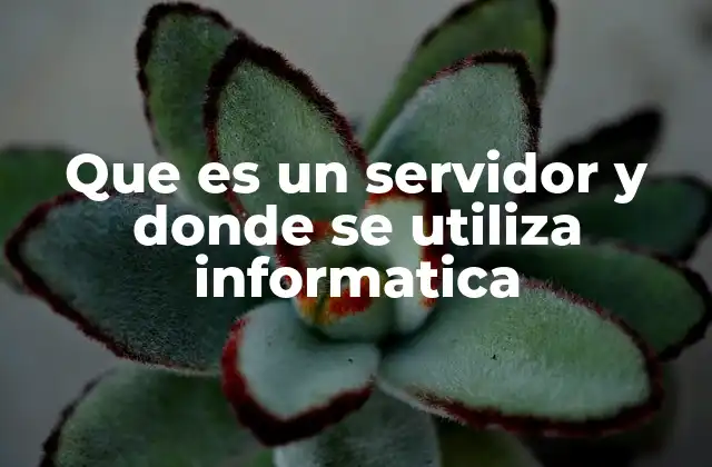 Que es un Servidor y Donde Se Utiliza Informatica