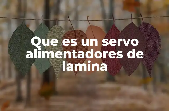 Que es un Servo Alimentadores de Lamina