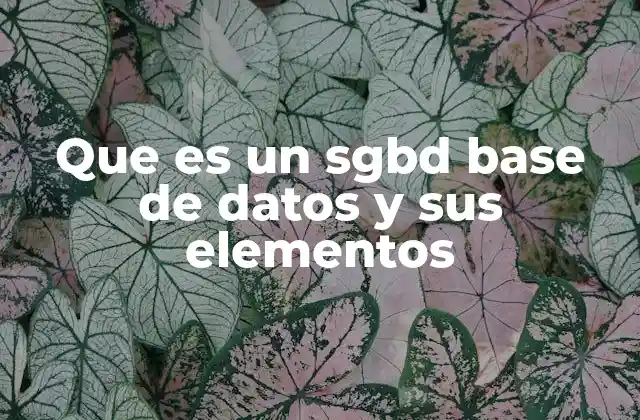 Que es un Sgbd Base de Datos y Sus Elementos